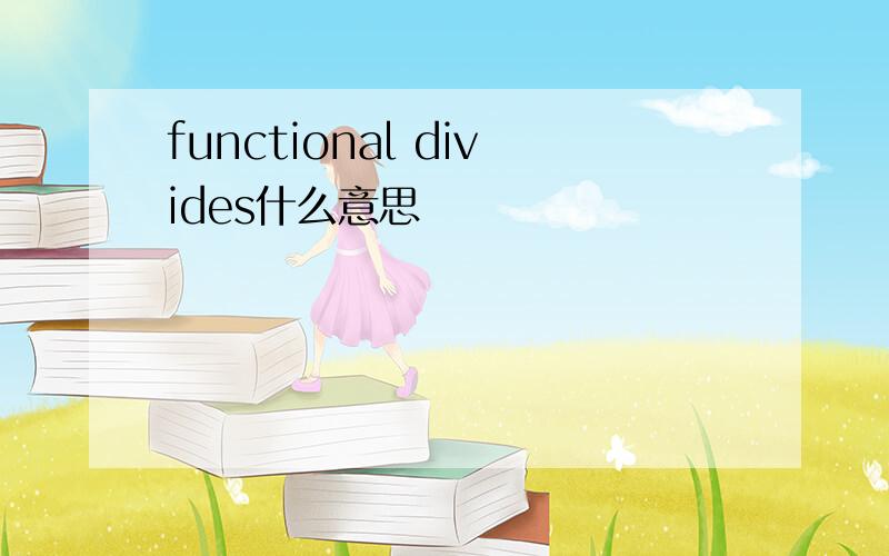 functional divides什么意思