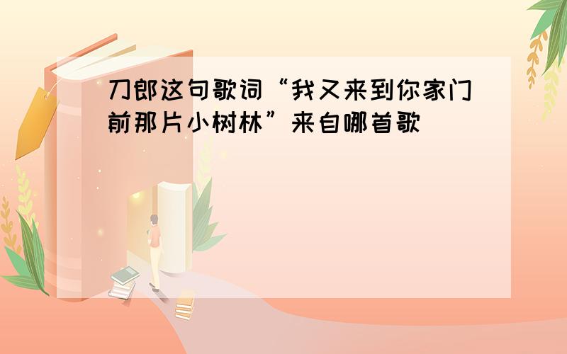 刀郎这句歌词“我又来到你家门前那片小树林”来自哪首歌