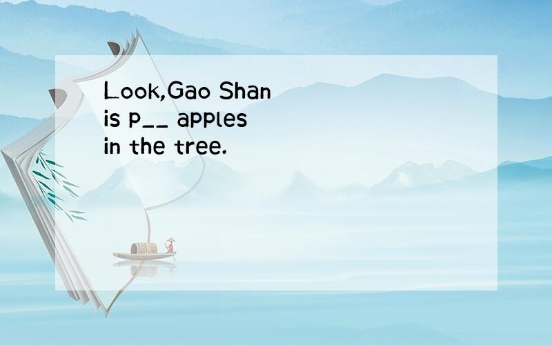 Look,Gao Shan is p__ apples in the tree.