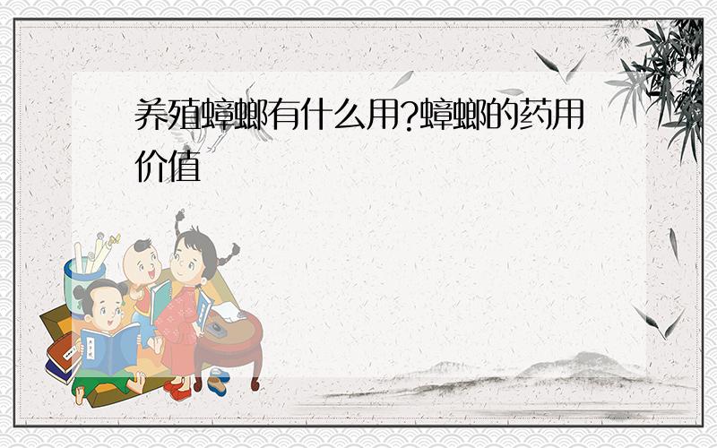 养殖蟑螂有什么用?蟑螂的药用价值