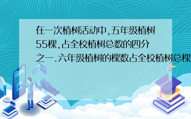 在一次植树活动中,五年级植树55棵,占全校植树总数的四分之一.六年级植树的棵数占全校植树总棵数的五分之二.