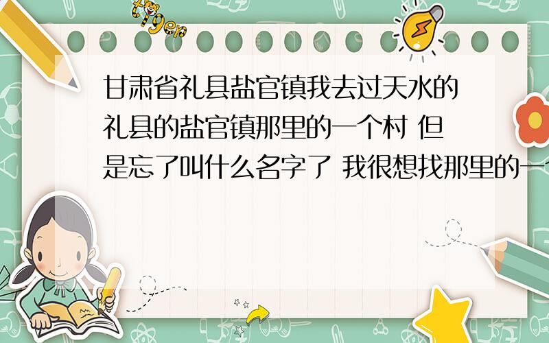 甘肃省礼县盐官镇我去过天水的礼县的盐官镇那里的一个村 但是忘了叫什么名字了 我很想找那里的一个人 那里好像叫陈庄 那个人