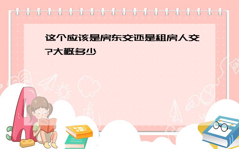 这个应该是房东交还是租房人交?大概多少