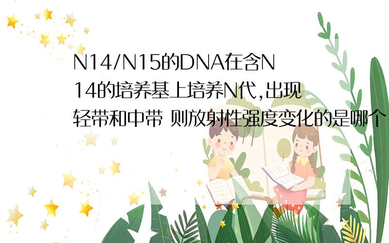 N14/N15的DNA在含N14的培养基上培养N代,出现轻带和中带 则放射性强度变化的是哪个