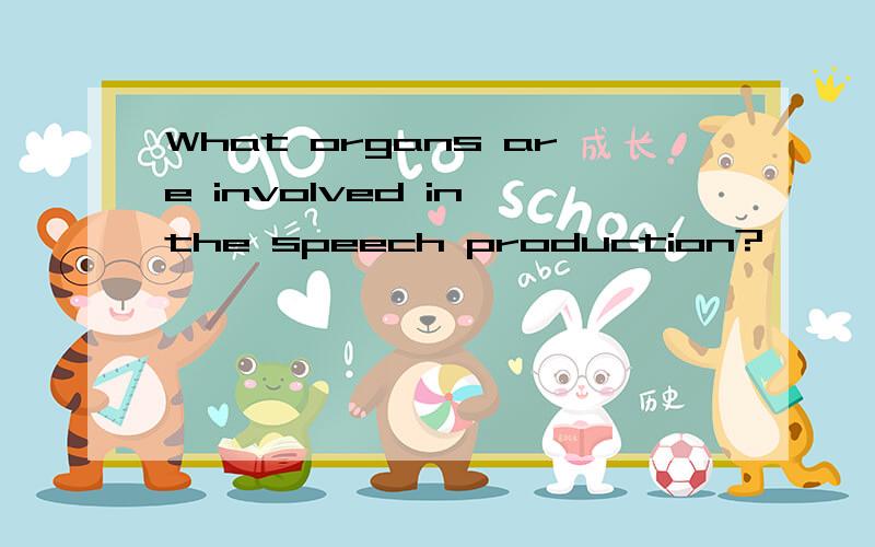 What organs are involved in the speech production?