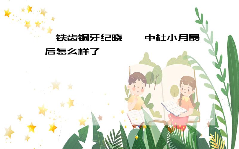 《铁齿铜牙纪晓岚》中杜小月最后怎么样了