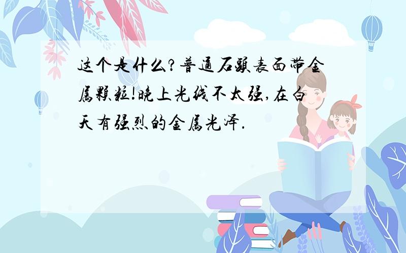 这个是什么?普通石头表面带金属颗粒!晚上光线不太强,在白天有强烈的金属光泽.