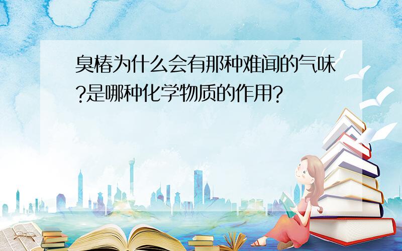 臭椿为什么会有那种难闻的气味?是哪种化学物质的作用?