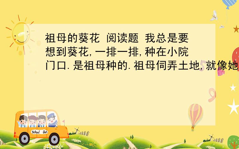 祖母的葵花 阅读题 我总是要想到葵花,一排一排,种在小院门口.是祖母种的.祖母伺弄土地,就像她在鞋面上绣花一样,一针下去