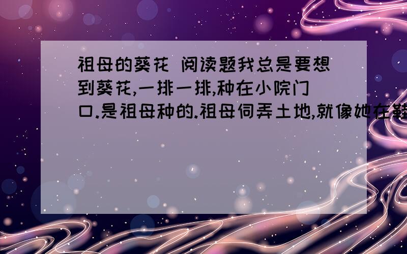 祖母的葵花 阅读题我总是要想到葵花,一排一排,种在小院门口.是祖母种的.祖母伺弄土地,就像她在鞋面上绣花一样,一针下去,