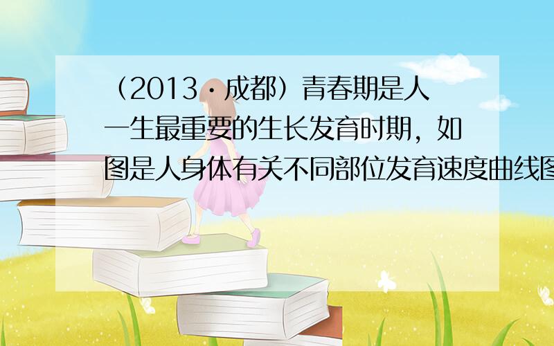 （2013•成都）青春期是人一生最重要的生长发育时期，如图是人身体有关不同部位发育速度曲线图．