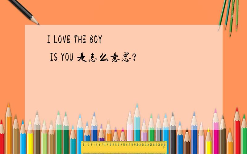 I LOVE THE BOY IS YOU 是怎么意思?