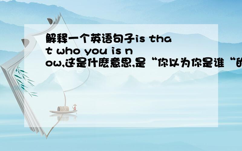 解释一个英语句子is that who you is now,这是什麽意思,是“你以为你是谁“的意思吗,is that