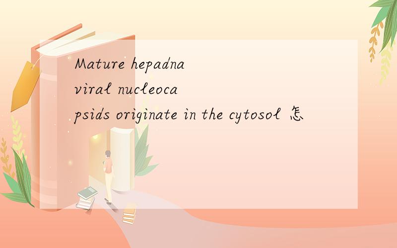 Mature hepadnaviral nucleocapsids originate in the cytosol 怎