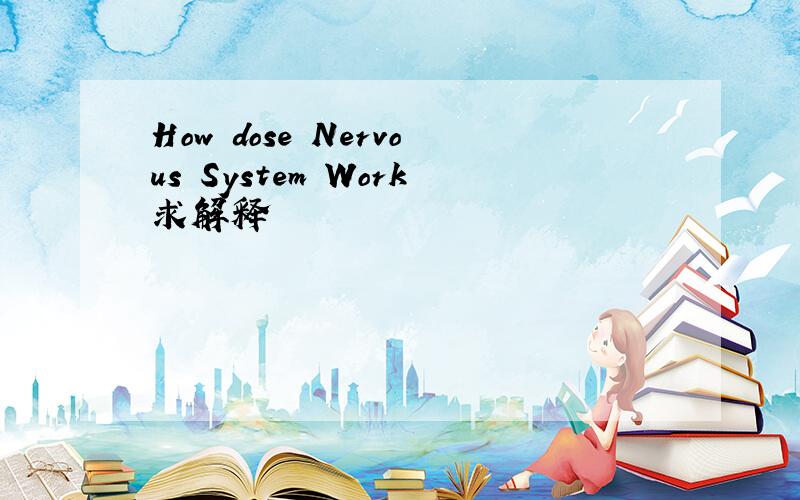 How dose Nervous System Work求解释