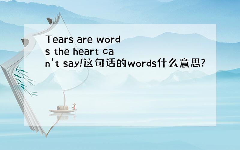 Tears are words the heart can't say!这句话的words什么意思?