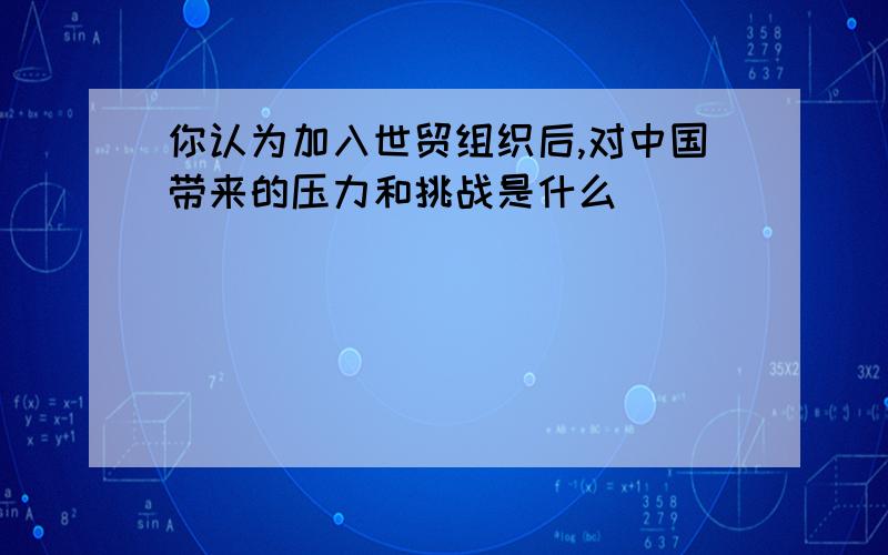 你认为加入世贸组织后,对中国带来的压力和挑战是什么