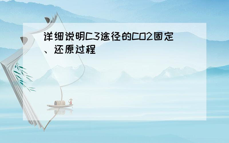 详细说明C3途径的CO2固定、还原过程