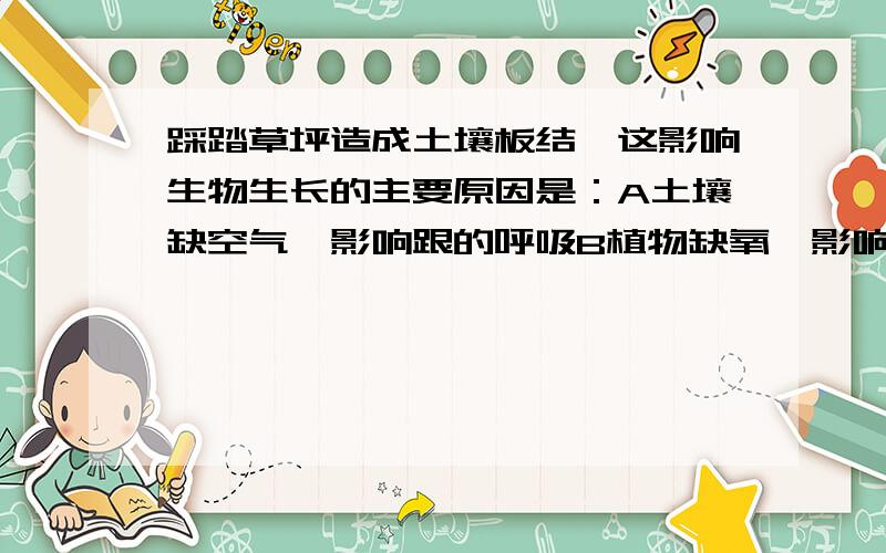 踩踏草坪造成土壤板结,这影响生物生长的主要原因是：A土壤缺空气,影响跟的呼吸B植物缺氧,影响光合作用