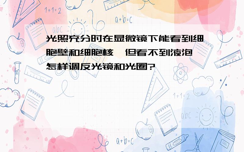 光照充分时在显微镜下能看到细胞壁和细胞核,但看不到液泡,怎样调反光镜和光圈?