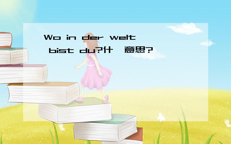 Wo in der welt bist du?什麼意思?