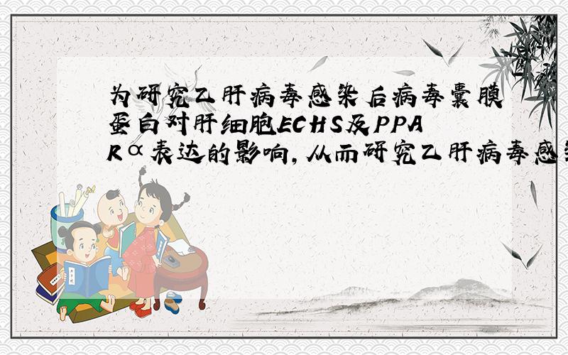 为研究乙肝病毒感染后病毒囊膜蛋白对肝细胞ECHS及PPARα表达的影响,从而研究乙肝病毒感染与非酒精性脂肪肝的关系.这靶