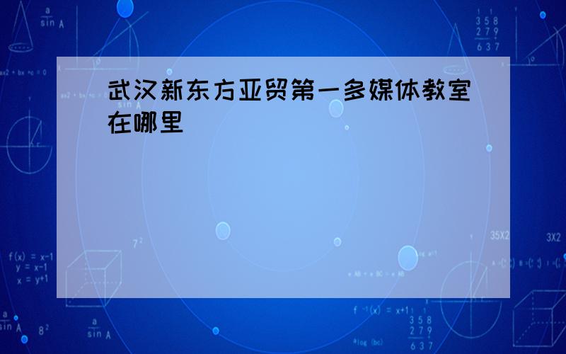 武汉新东方亚贸第一多媒体教室在哪里