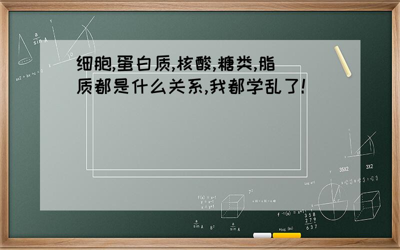 细胞,蛋白质,核酸,糖类,脂质都是什么关系,我都学乱了!