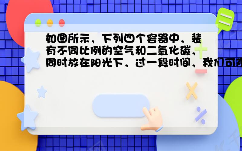 如图所示，下列四个容器中，装有不同比例的空气和二氧化碳，同时放在阳光下，过一段时间，我们可观察到U形管右侧b处上升最高的