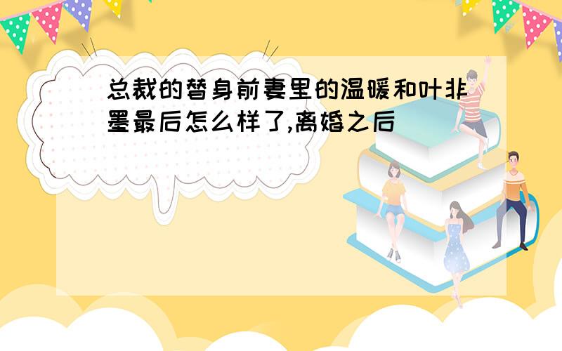 总裁的替身前妻里的温暖和叶非墨最后怎么样了,离婚之后