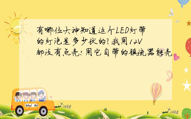 有哪位大神知道这个LED灯带的灯泡是多少伏的?我用12V都没有点亮!用它自带的镇流器能亮.