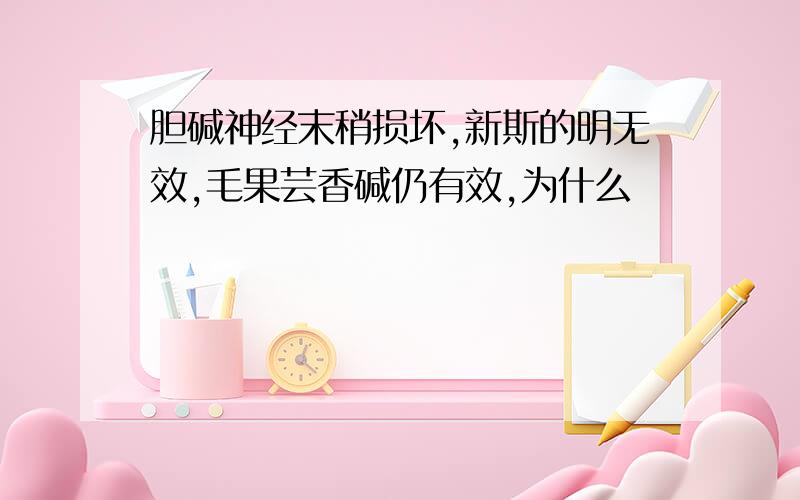 胆碱神经末稍损坏,新斯的明无效,毛果芸香碱仍有效,为什么