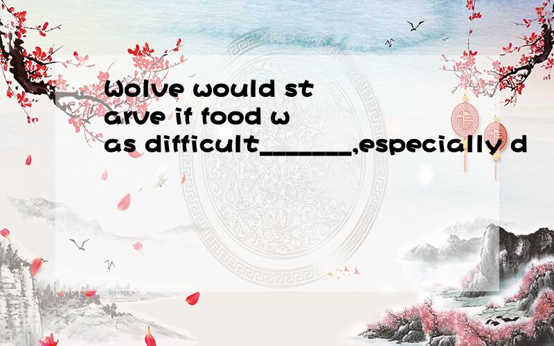 Wolve would starve if food was difficult_______,especially d