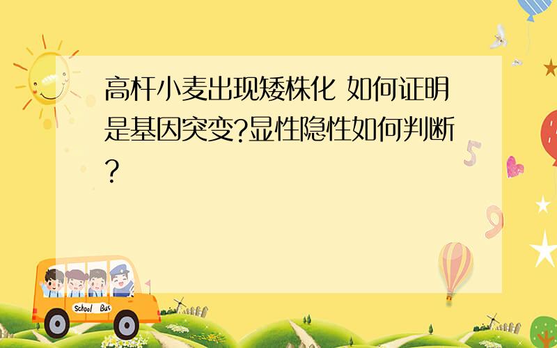 高杆小麦出现矮株化 如何证明是基因突变?显性隐性如何判断?