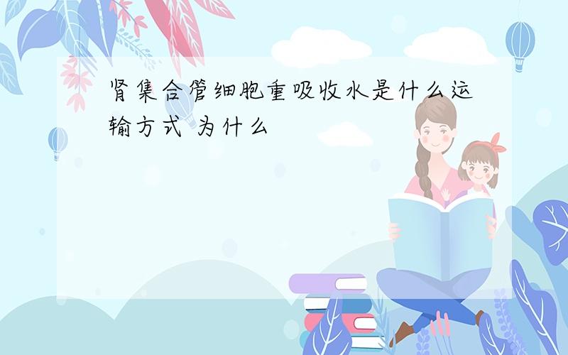 肾集合管细胞重吸收水是什么运输方式 为什么