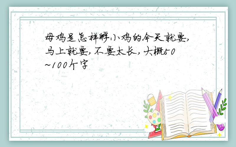 母鸡是怎样孵小鸡的今天就要,马上就要,不要太长,大概50~100个字