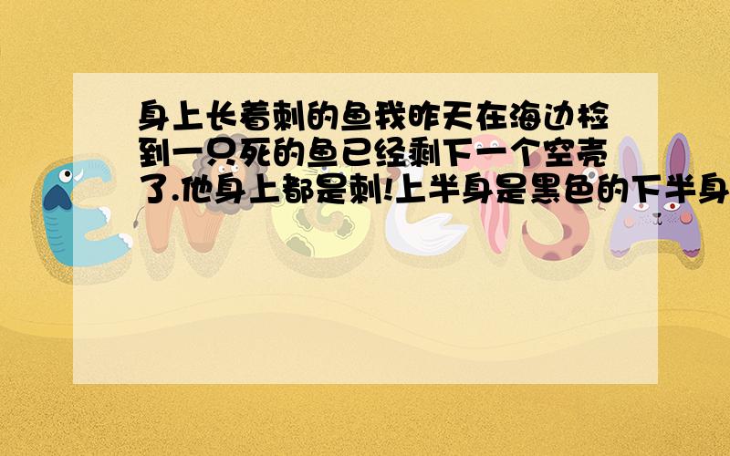 身上长着刺的鱼我昨天在海边检到一只死的鱼已经剩下一个空壳了.他身上都是刺!上半身是黑色的下半身是白色的!嘴巴又像猫头鹰!