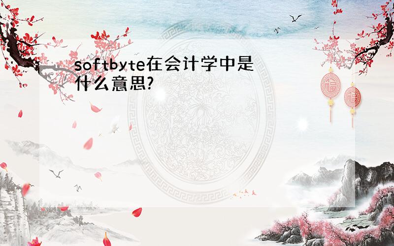 softbyte在会计学中是什么意思?