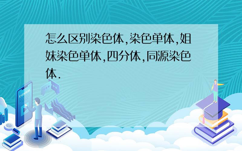 怎么区别染色体,染色单体,姐妹染色单体,四分体,同源染色体.