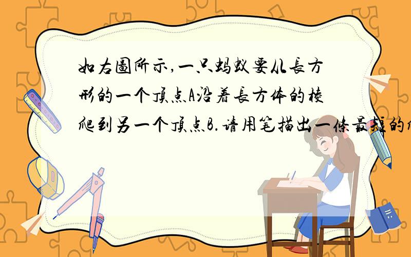 如右图所示,一只蚂蚁要从长方形的一个顶点A沿着长方体的棱爬到另一个顶点B.请用笔描出一条最短的爬行路线