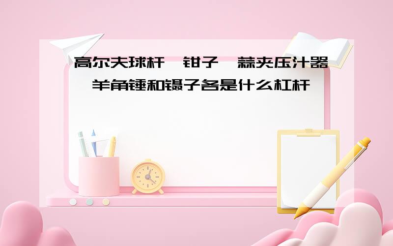 高尔夫球杆,钳子,蒜夹压汁器,羊角锤和镊子各是什么杠杆