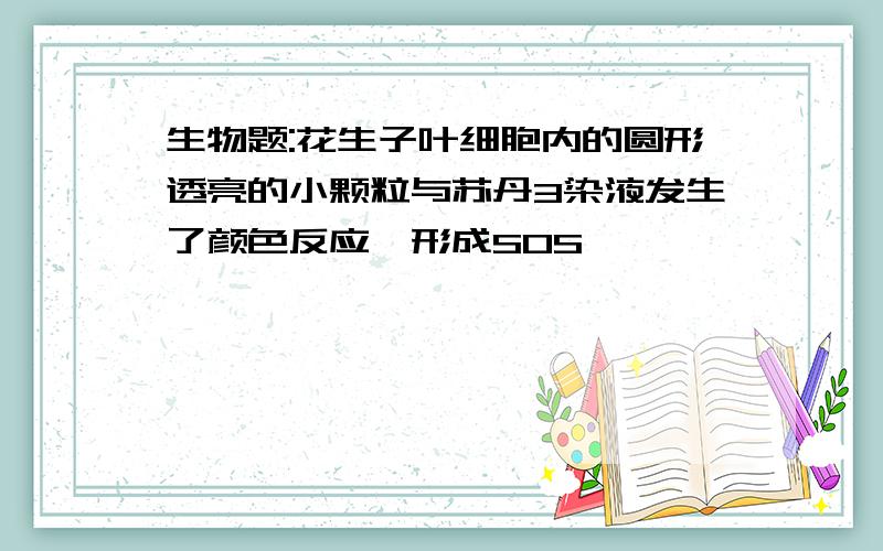 生物题:花生子叶细胞内的圆形透亮的小颗粒与苏丹3染液发生了颜色反应,形成SOS