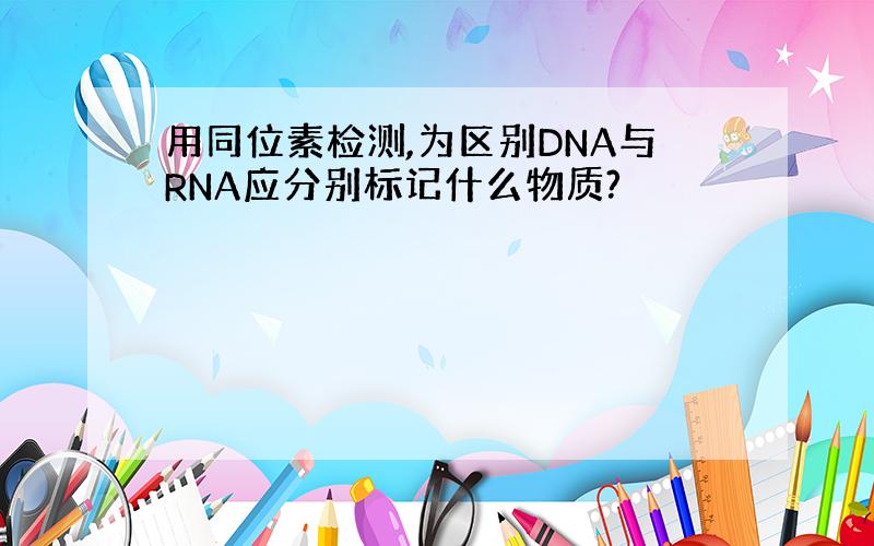 用同位素检测,为区别DNA与RNA应分别标记什么物质?