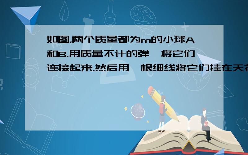 如图，两个质量都为m的小球A和B，用质量不计的弹簧将它们连接起来，然后用一根细线将它们挂在天花板上而静止.在剪断细线后的