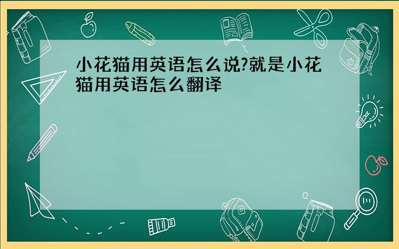 小花猫用英语怎么说?就是小花猫用英语怎么翻译