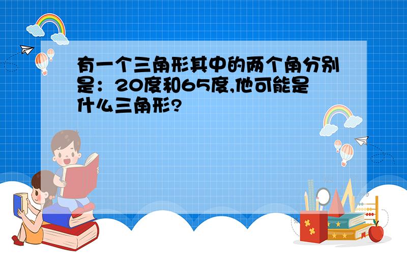 有一个三角形其中的两个角分别是：20度和65度,他可能是什么三角形?