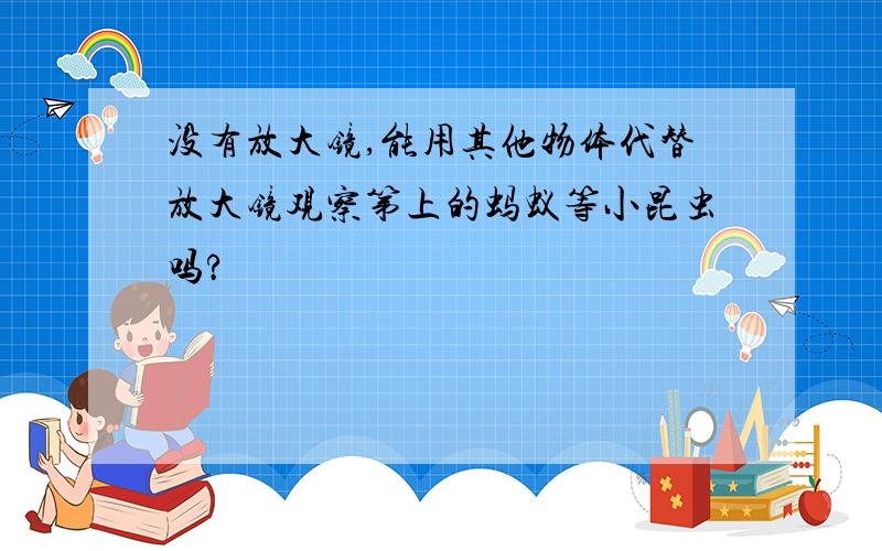 没有放大镜,能用其他物体代替放大镜观察第上的蚂蚁等小昆虫吗?