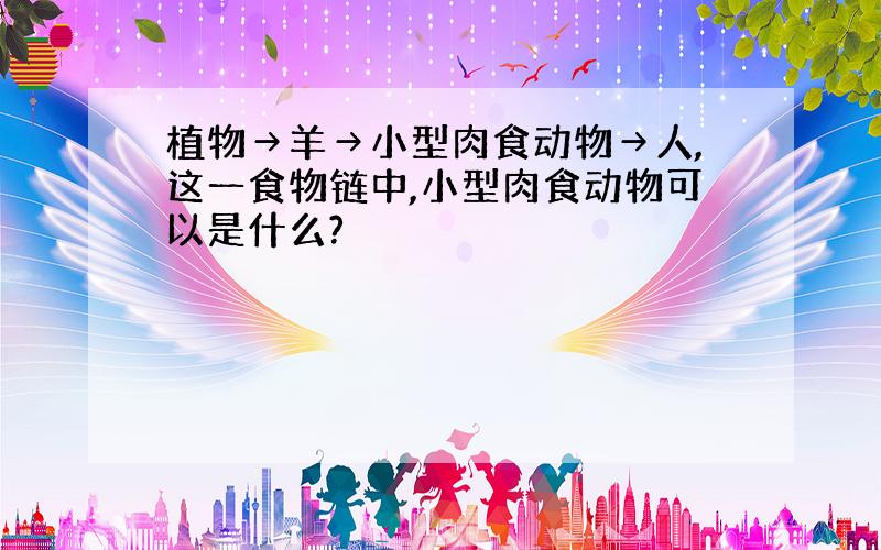 植物→羊→小型肉食动物→人,这一食物链中,小型肉食动物可以是什么?