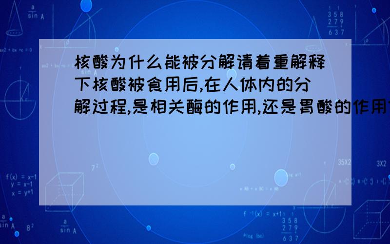 核酸为什么能被分解请着重解释下核酸被食用后,在人体内的分解过程,是相关酶的作用,还是胃酸的作用?还是什么?