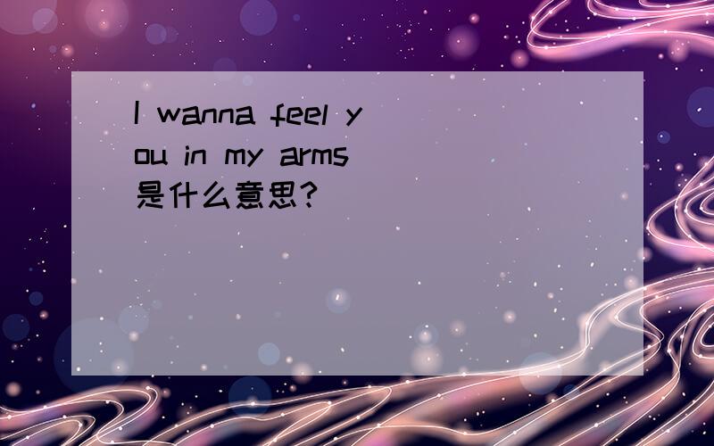 I wanna feel you in my arms 是什么意思?